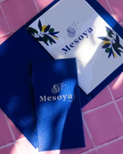MESOYA_MENU_CARTE_2